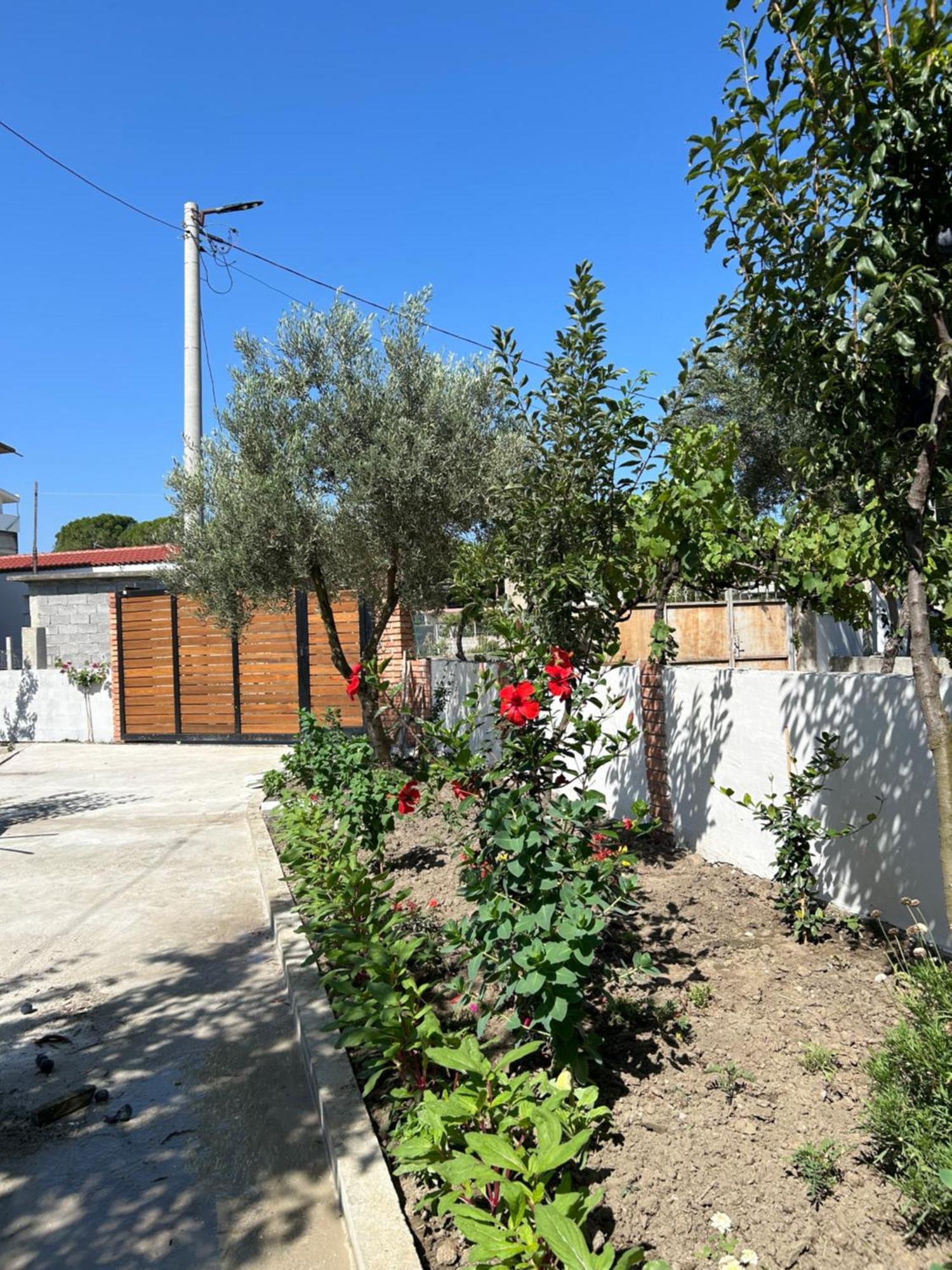 Vila Roan Vlore Bagian luar foto